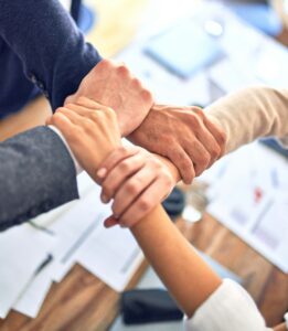 krakenimages y5bvrlccx8k unsplash